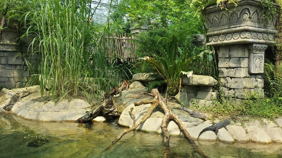 Wildlands Aventura Zoo, Emmen, Netherlands, by Universal Rocks