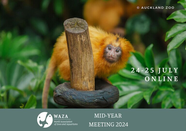 WAZA mid year meeting