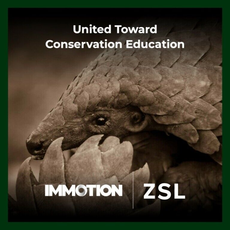 Immotion supports ZSLs pangolin conservation efforts