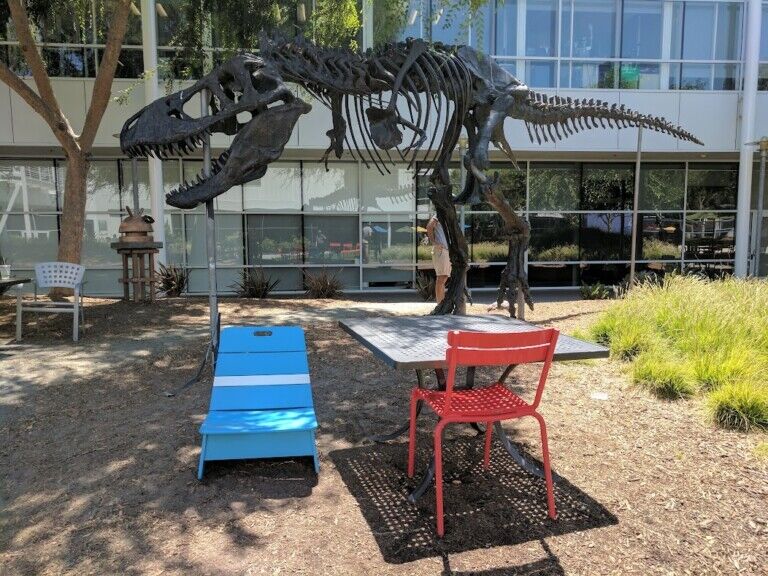 t rex skeleton at google office