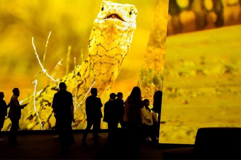 Panasonic sustainable immersive experiences