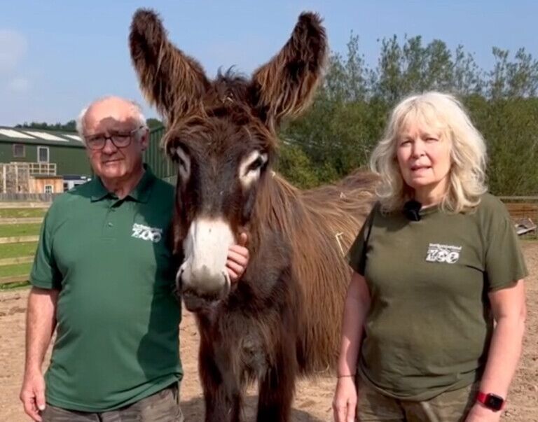 northumberland zoo tiktok video