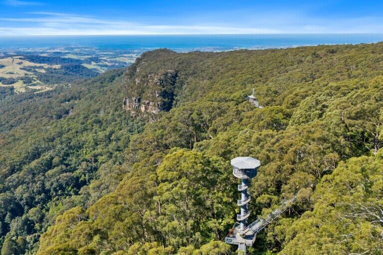 illawarra fly