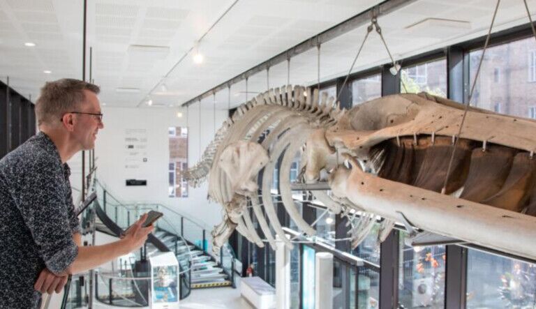 museum of zoology ai experience