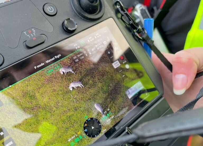 marwell wildlife drones