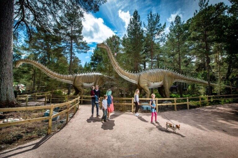 landmark forest adventure park