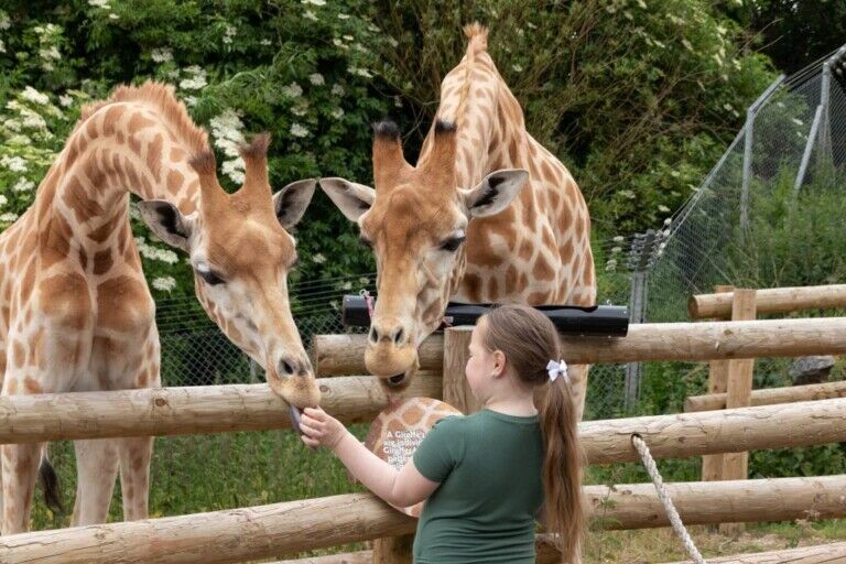 south lakes safari zoo