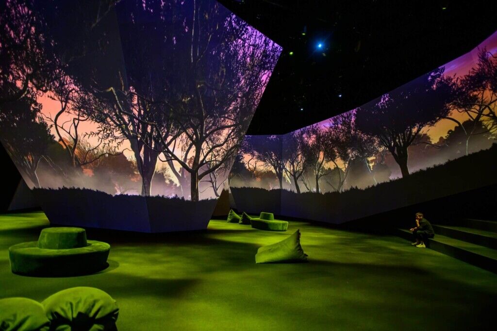 Hive at BBC earth melbourne