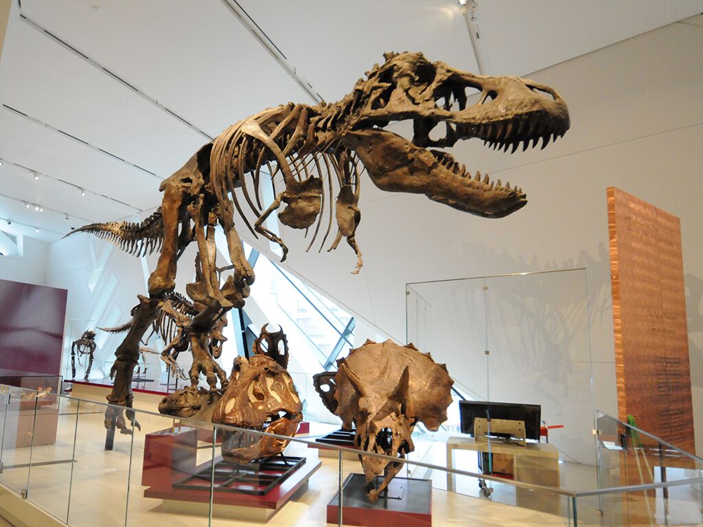 Research Casting International - Dinosaur Cast Mounting & Finishing