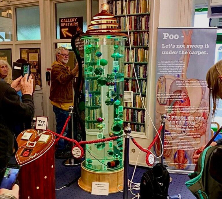 poo museum isle of wight