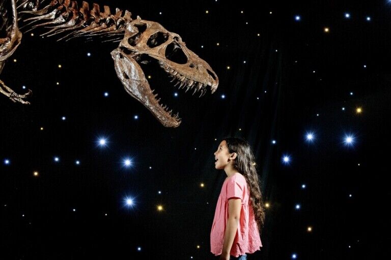 Imagine Ice Dinos