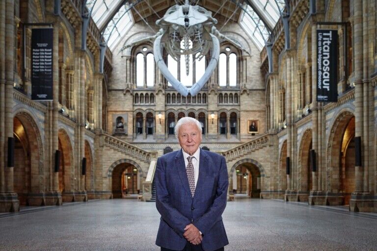 natural history museum david attenborough