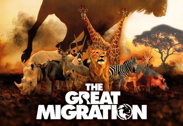 Immotion THE GREAT MIGRATION crop