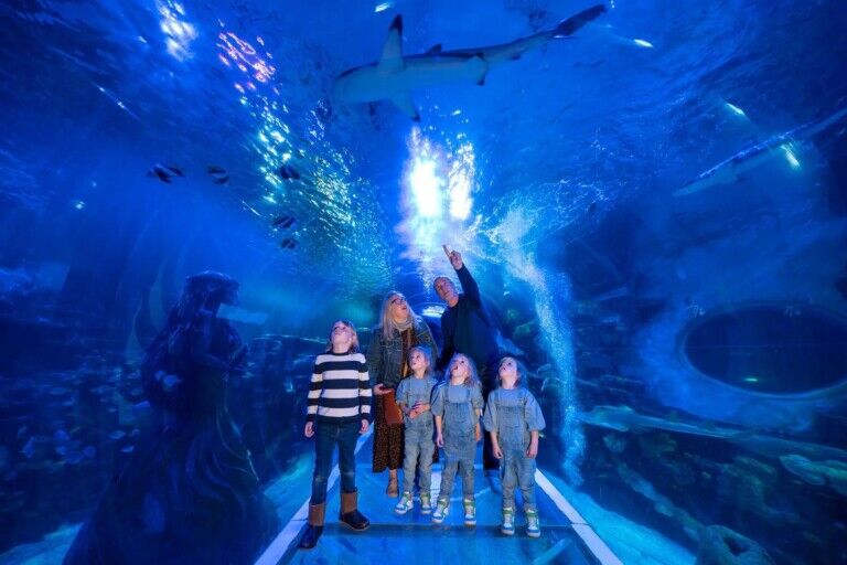 sea life aquarium birmingham