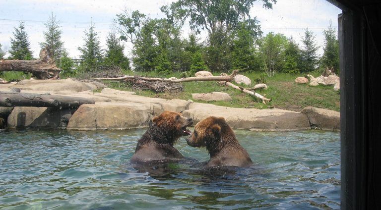 Polar Frontier Columbus Zoo PJA Architects