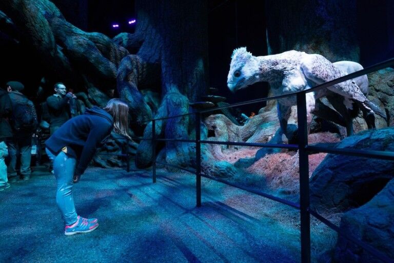 bowing to Buckbeak at forbidden forest warner bros harry potter jpeg