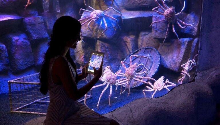 Polin's Funtastic Aquarium concept set to debut in Iran 2018
