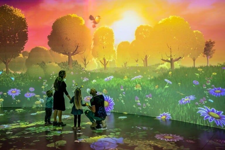 Studio 100 story studio Maya the Bee