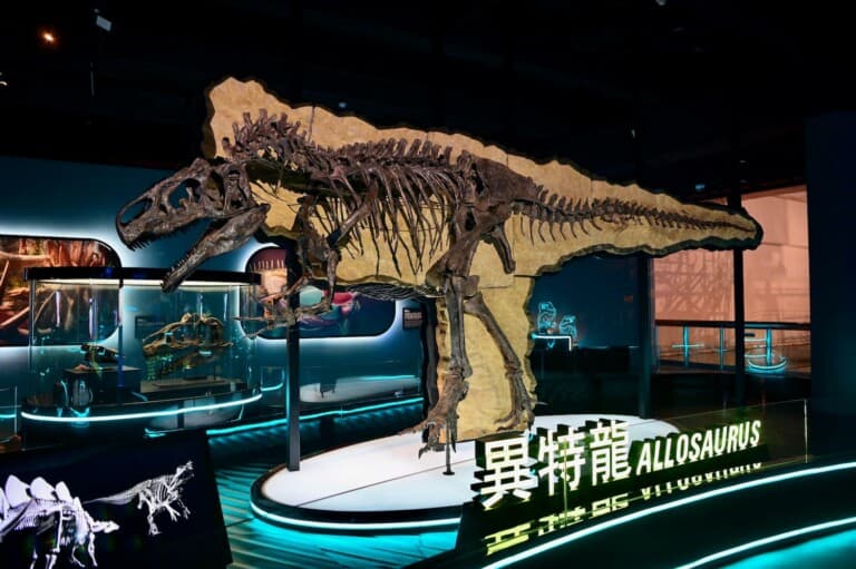 hong kong science museum dinosaurs