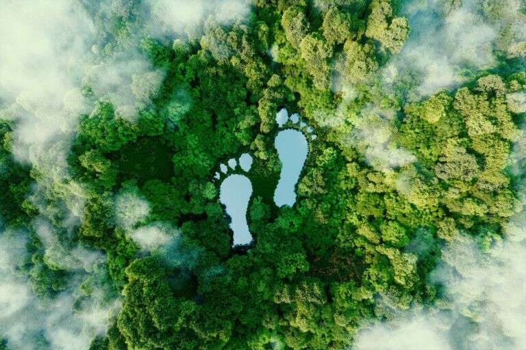 A lake in the shape of human footprints in the middle of a lush forest as a metaphor for the impact of human activity on the landscape and nature in general. 3d rendering. carbon footprint