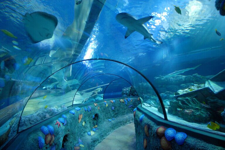 sea life aquarium