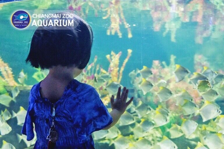 Chiang Mai Zoo Aquarium