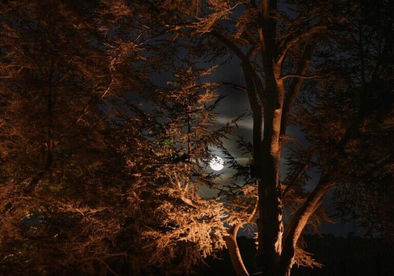 filoli nightfall event