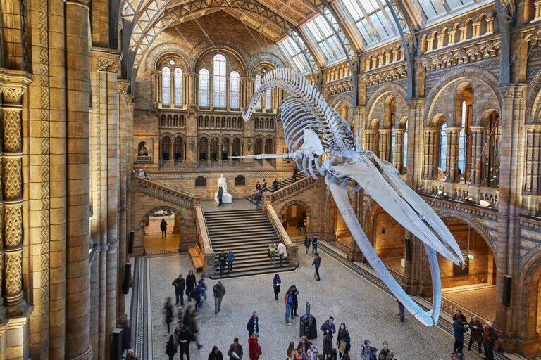 natural history museum