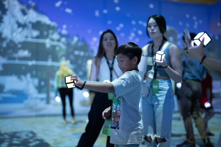minecraft experience