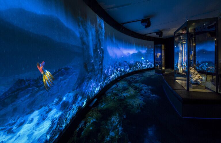 The Unknown Land - Adnan Icagic UM-UiB environmental immersion