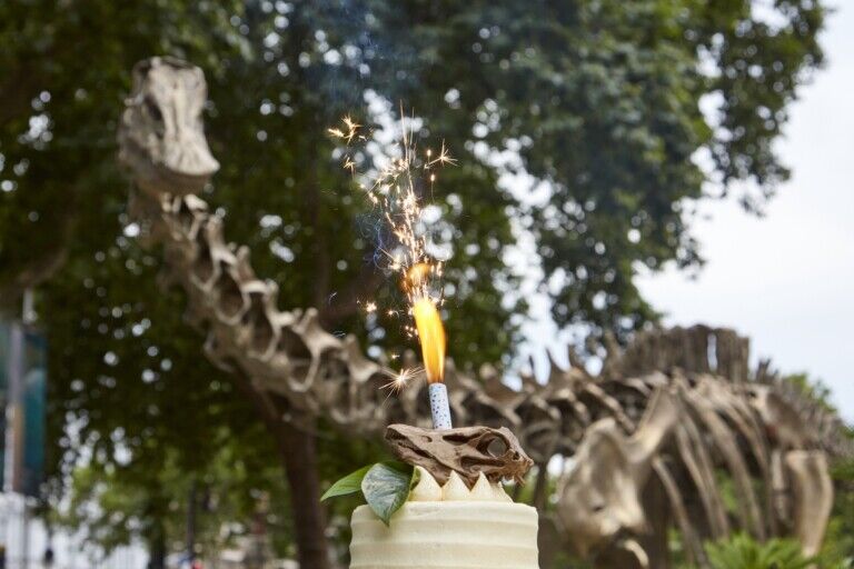 natural history museum gardens anniversary