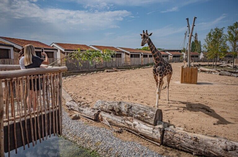 the reserve at chester zoo