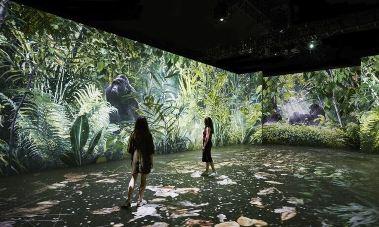 Our Story with David Attenborough (c) Trustees of the Natural History Museum
